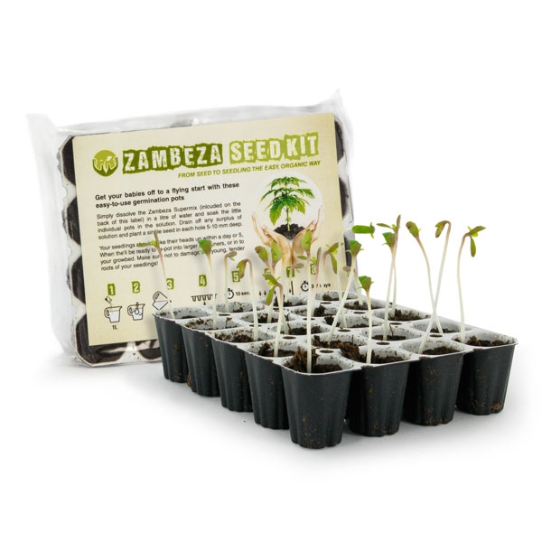 Zambeza Seedkit Best cannabis seeds germination kit