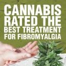 Cannabis Rated the Best Treatment for Fibromyalgia