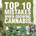 Top 10 Mistakes When Growing Cannabis And How To Avoid Them