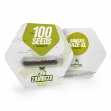 Amnesia Haze XL Bulk Seeds