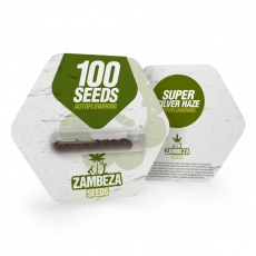 Super Silver Haze Autoflowering Bulk Seeds