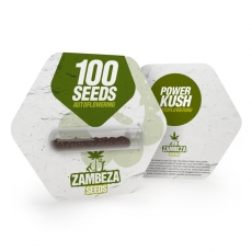 Power Kush Autoflowering Bulk Seeds