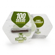 Candy Caramelo Autoflowering Bulk Seeds
