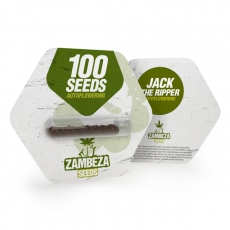 Jack the Ripper Autoflowering Bulk Seeds