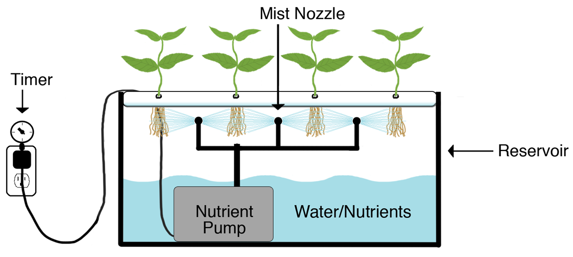 Cannabisanbau aeroponic