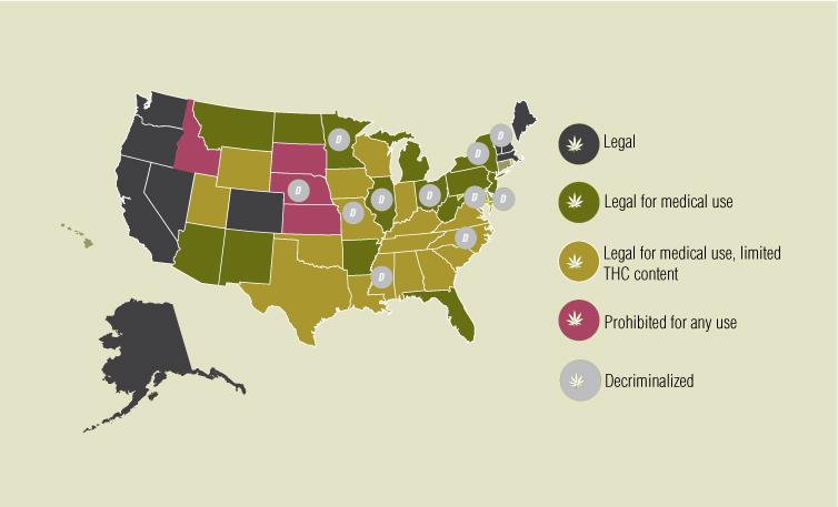 CBD Legality in the U.S