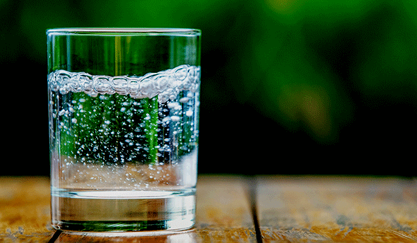 Germinate your seeds in carbonated water