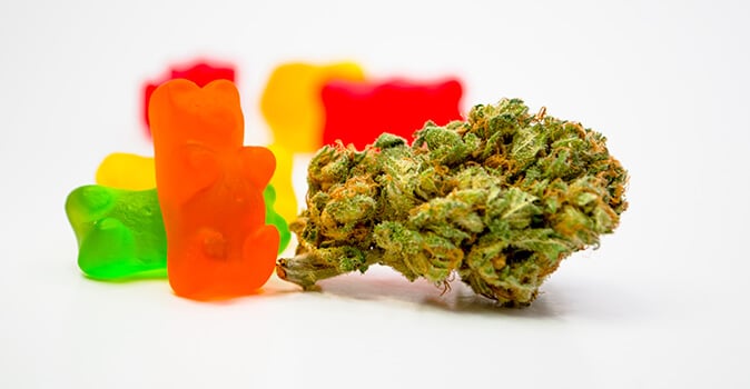 weed teddy bear