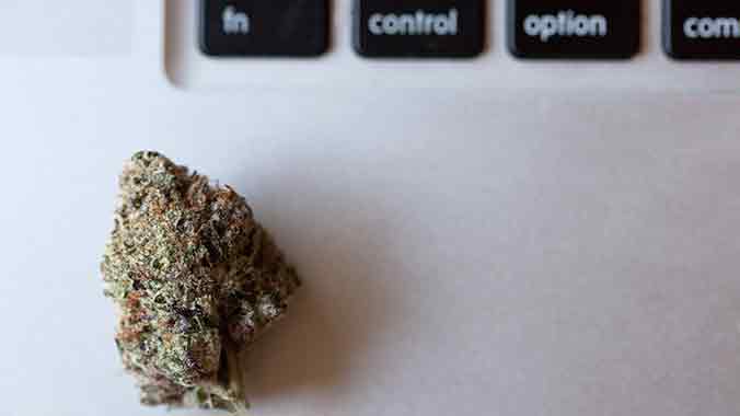 Associate weed with productivity