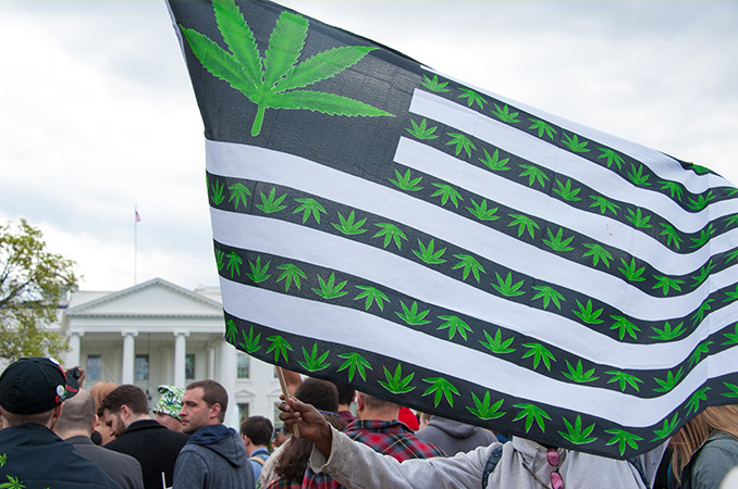 A Brief Overview Of NORML - And How It Has Shaped Cannabis Reform