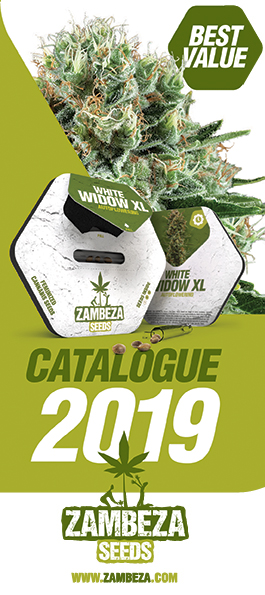Zambeza Catalogue 2019
