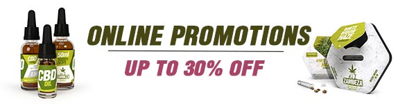 Online Promotion