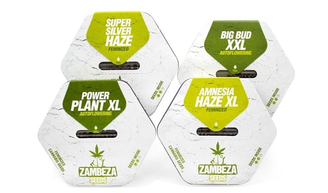 Zambeza Seeds Packs