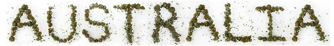 Australia Has Legalised The Growth Of Medical Cannabis