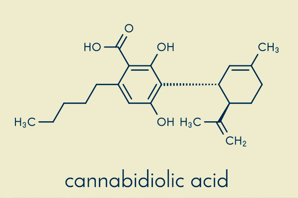 Cannabidiolic Acid