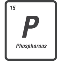 Phosphorous