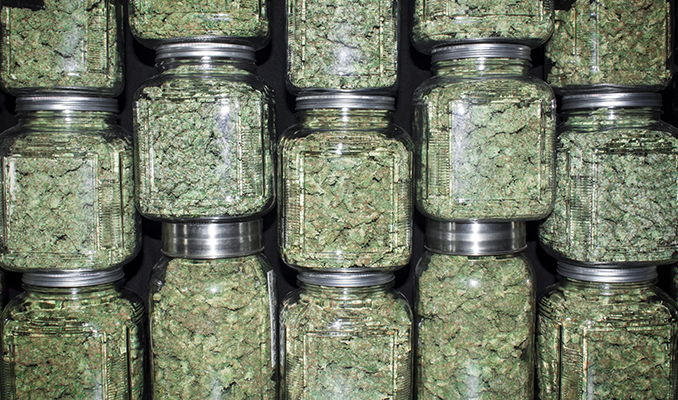 The Best Ways To Hide The Smell Of Your Weed